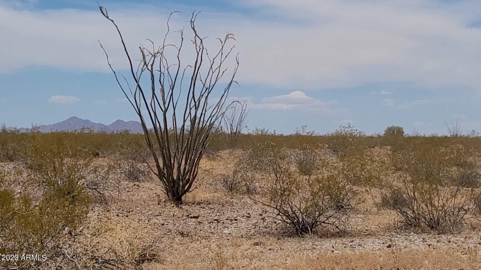 4812 N 313TH Avenue -