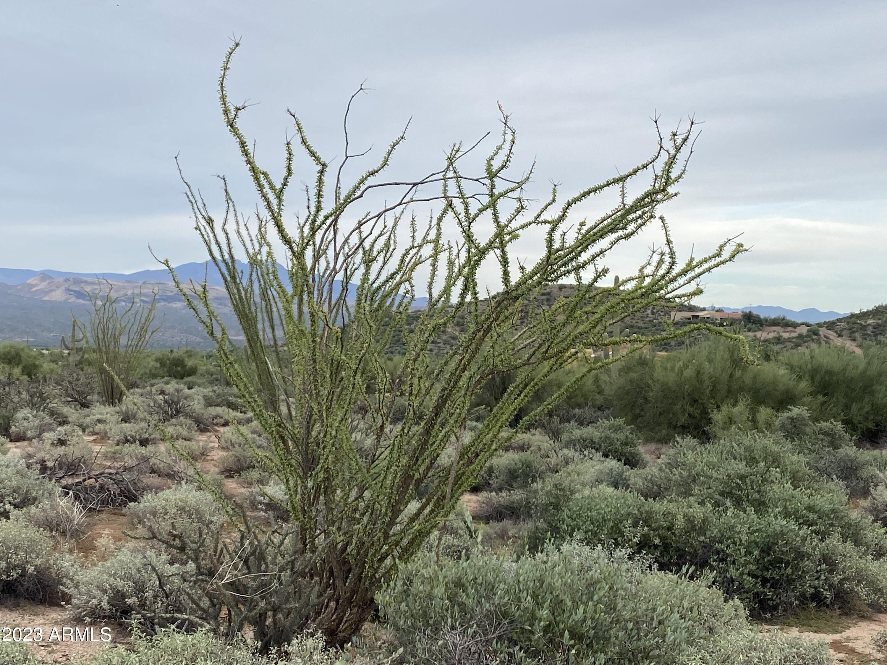 0 N 170 Streets -/-/-