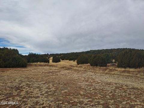 A home in Concho