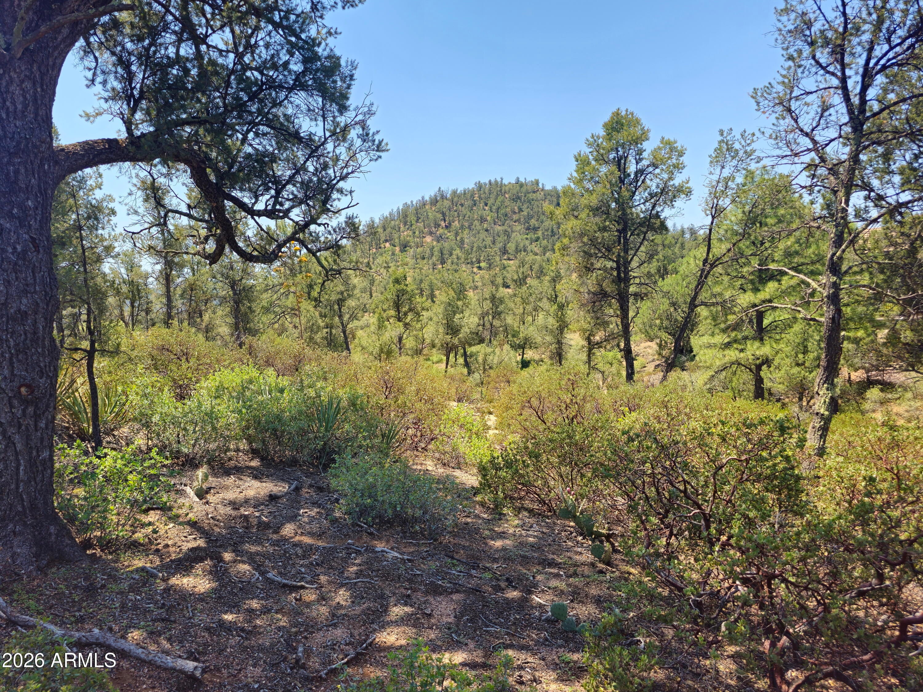 2400 E Rim Club Drive 105
