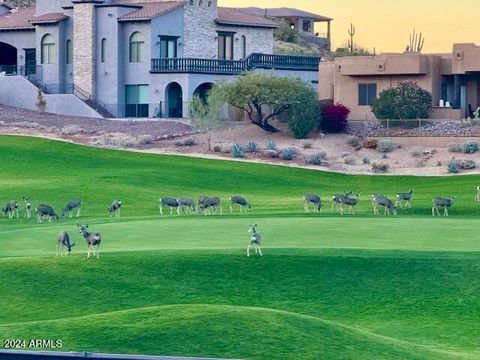 A home in Gold Canyon