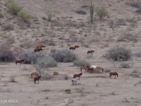 Lot 13-F E Overdrive Road 13-F Fort McDowell AZ 85264