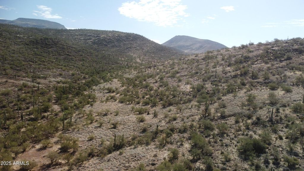 Photo of 44754 N 24th Street, New River, AZ 85087 (MLS # 6874303)