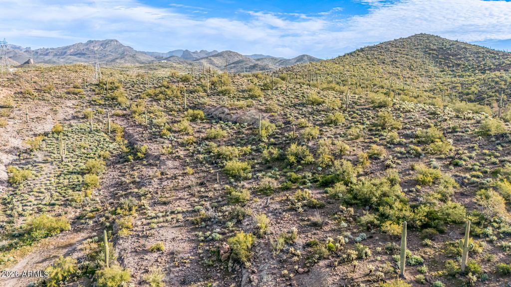 Photo of 74 E Elephant Butte Road #5, Gold Canyon, AZ 85118 (MLS # 6978796)