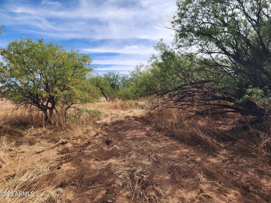 Almost an acre lot with mountain views . Close to Canyon Vista Medical Center. . Lot is zoned R18 and can have two homes on this parcel. Natural gas, electric and Arizona Water at the property line. Fenced on 3 sides. Abutts state land on west side of property.  Septic will be required.