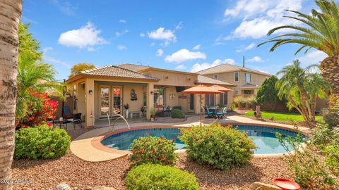 6988 S WILSON Drive Chandler AZ 85249