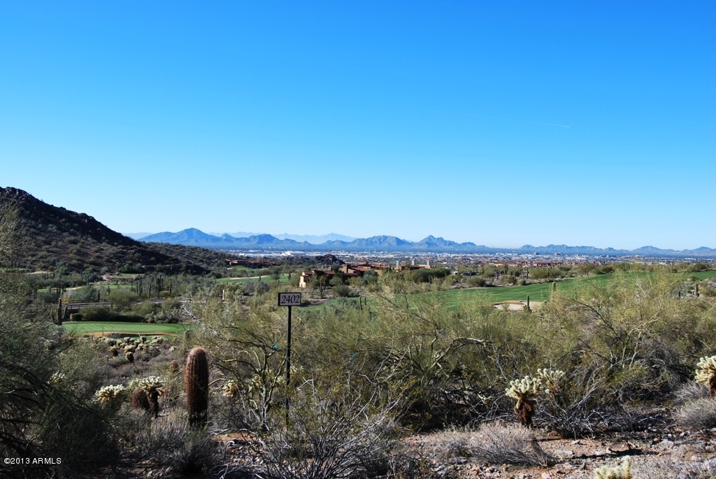 Silverleaf - Land