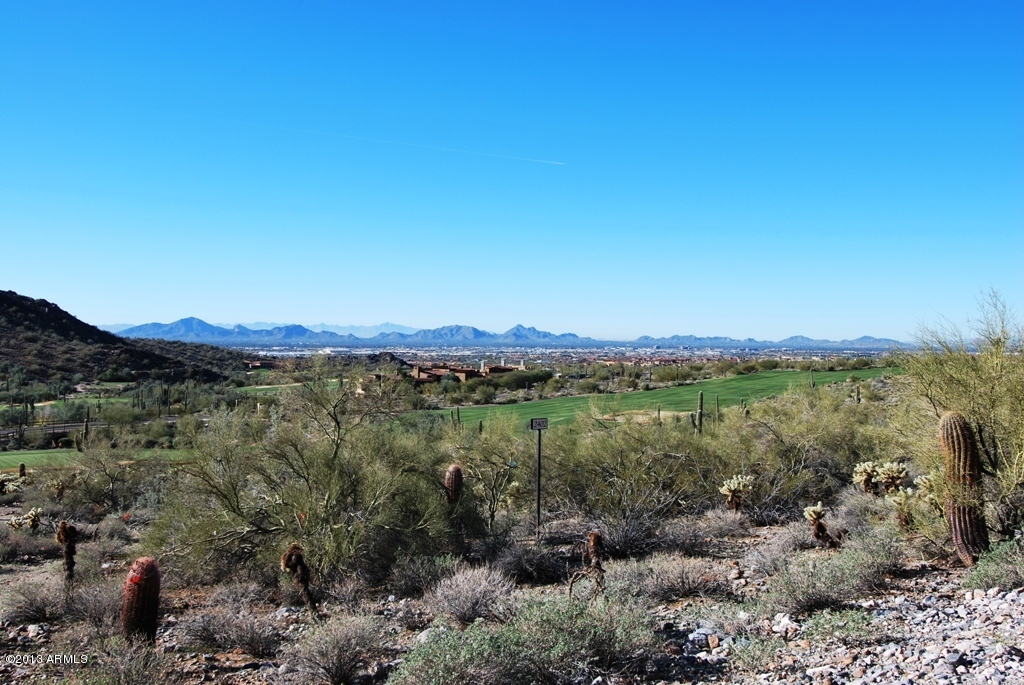 Silverleaf - Land