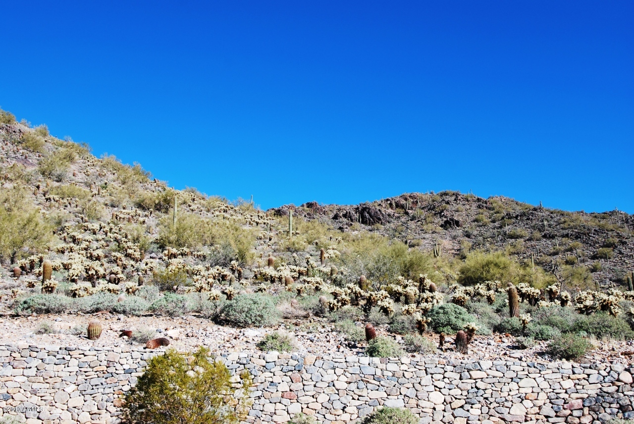 Silverleaf - Land