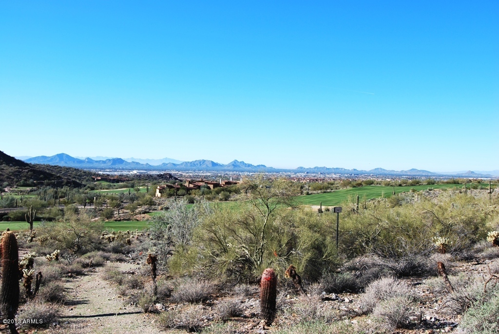 Silverleaf - Land