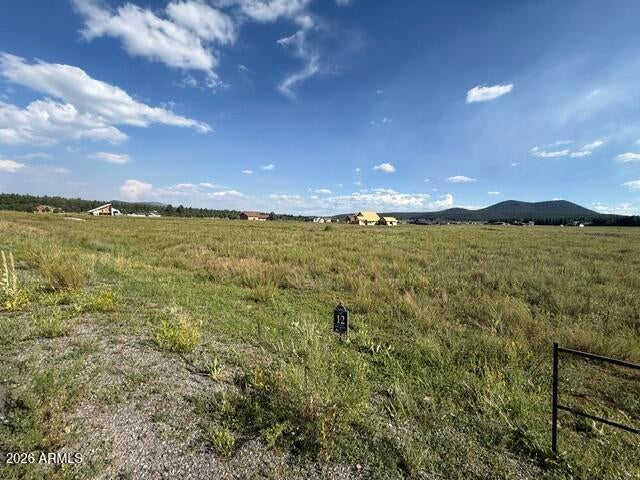 9290 RANCH AT THE PEAKS Way 12