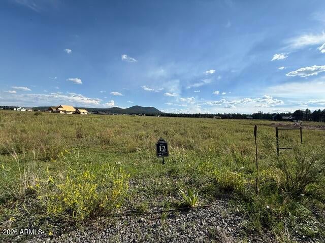 9290 RANCH AT THE PEAKS Way 12