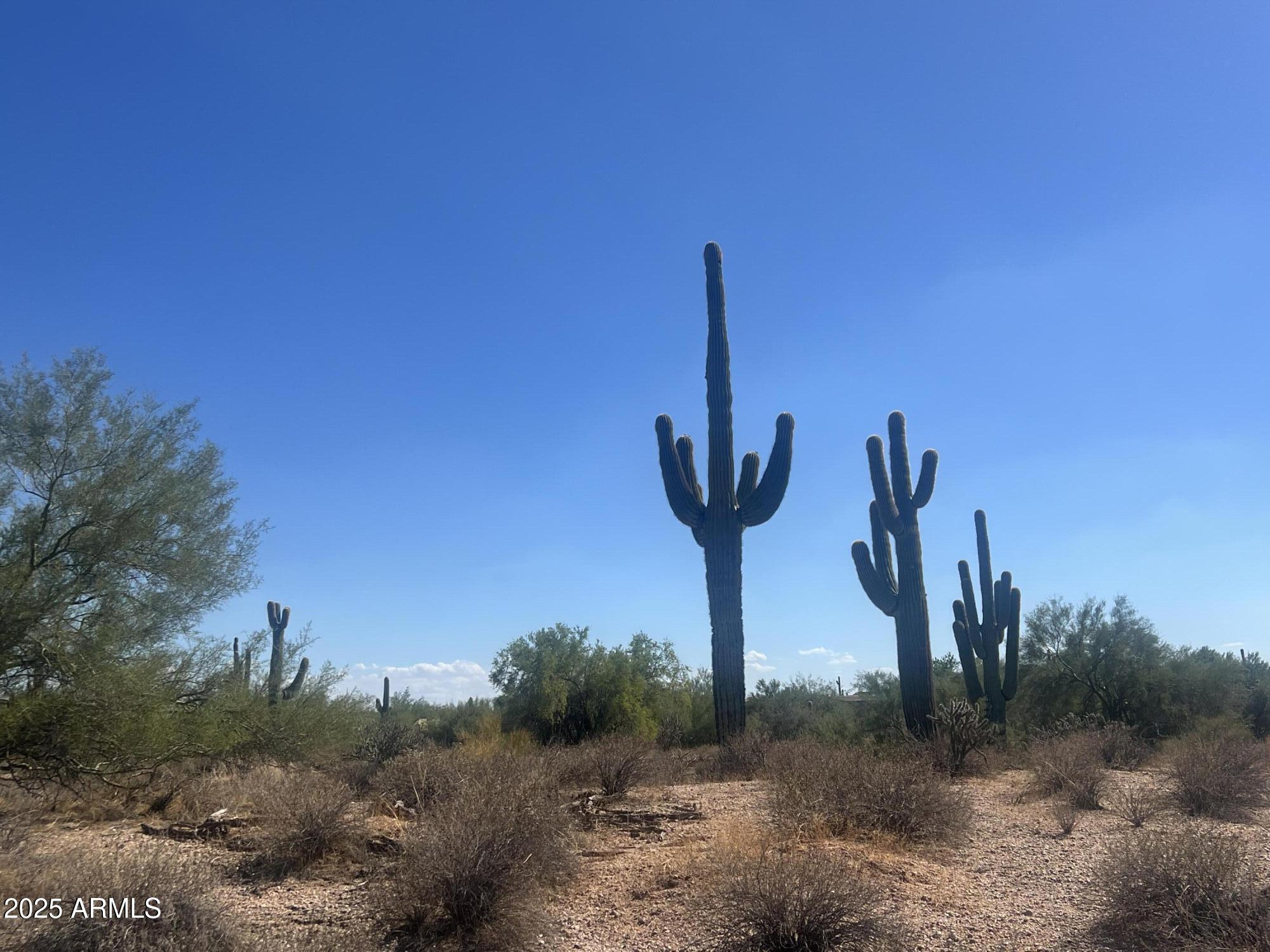 33XXX N 55th Street -