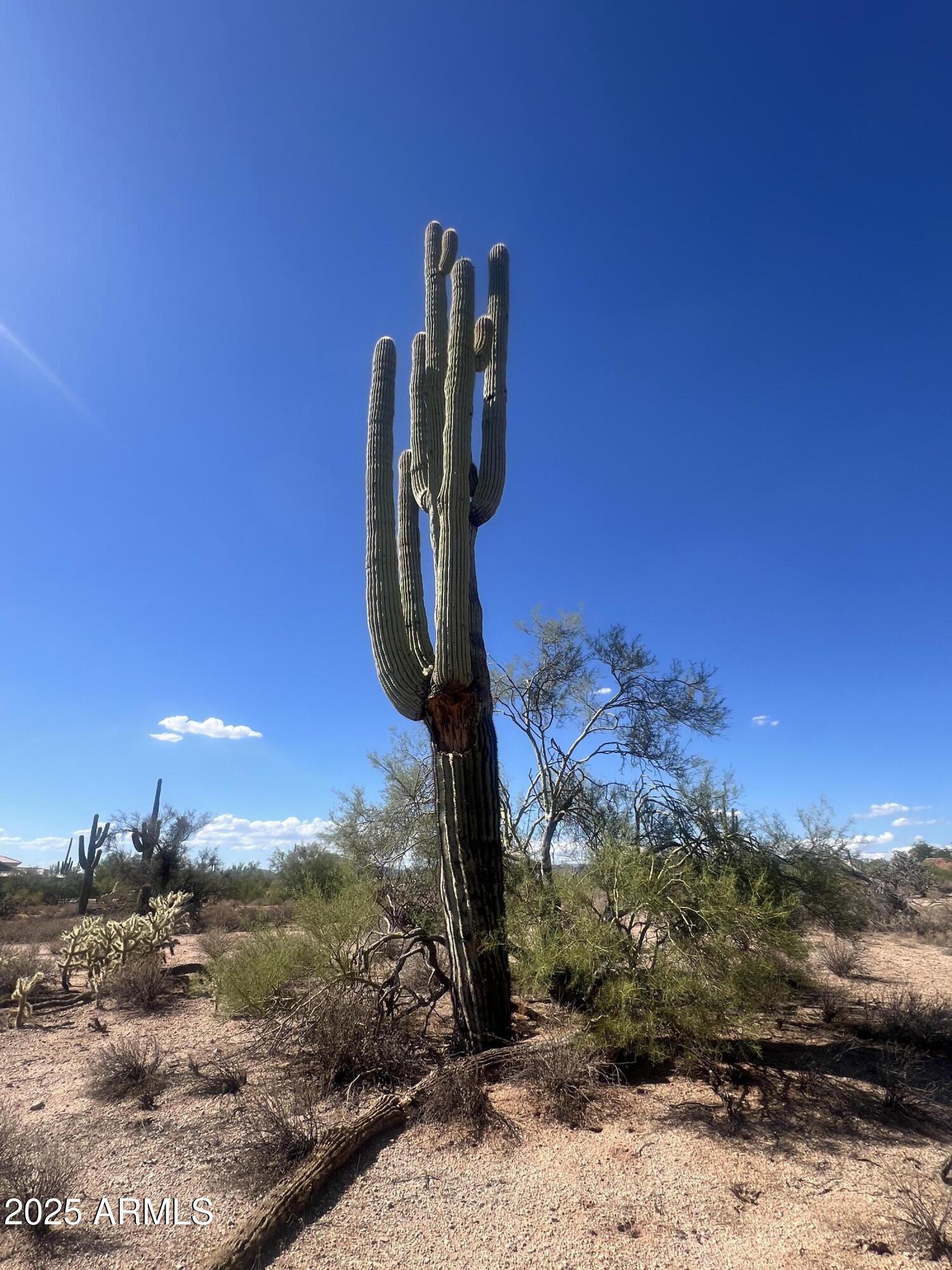 33XXX N 55th Street -