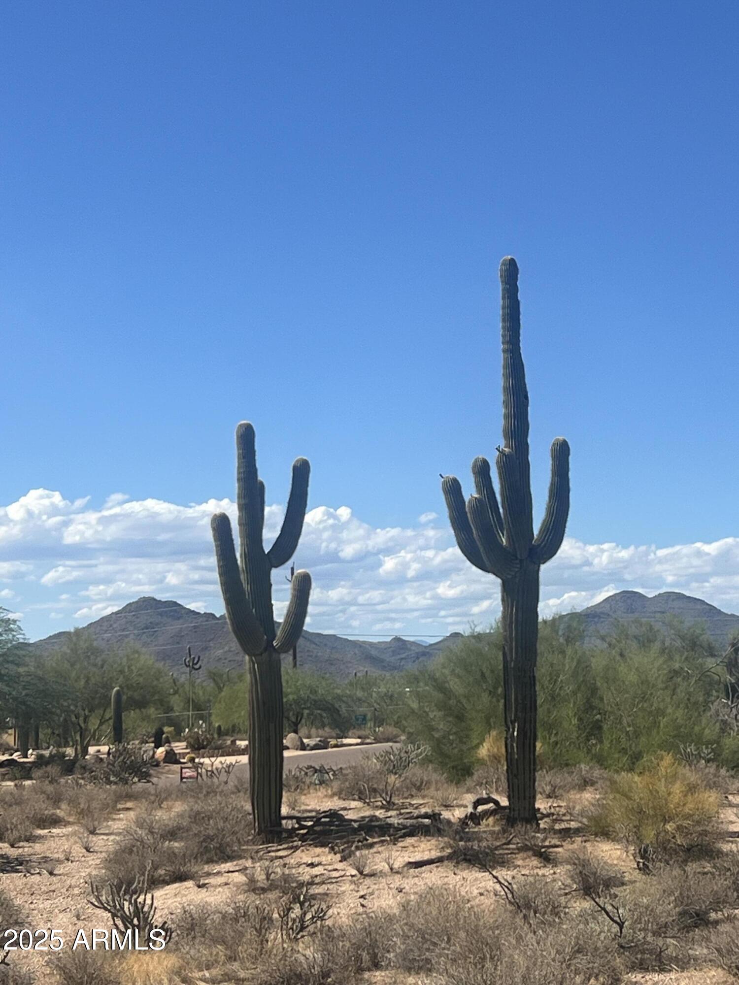 33XXX N 55th Street -