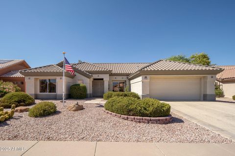 14422 W DOMINGO Lane Sun City West AZ 85375