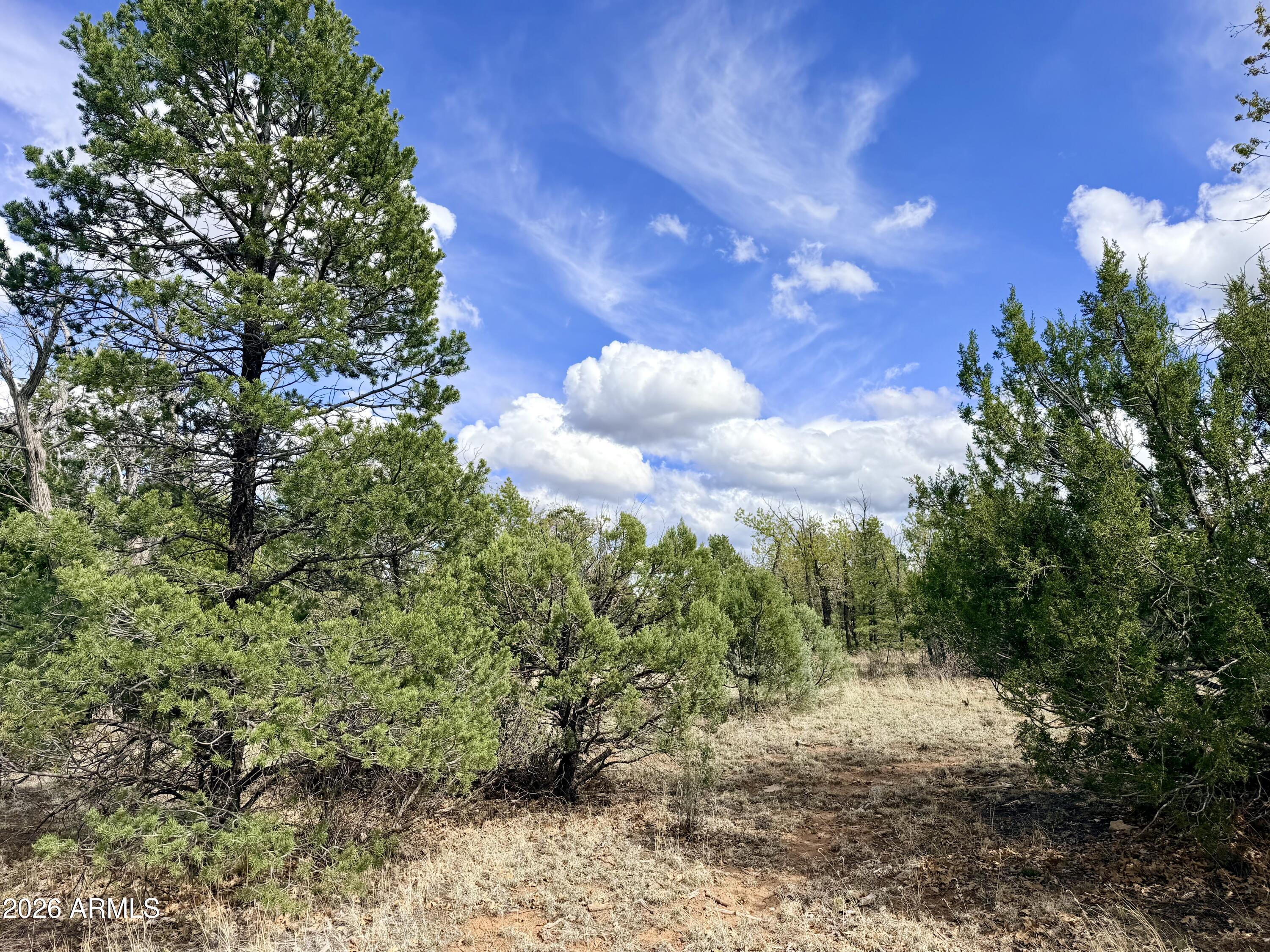 7112 HORIZON Circle 101