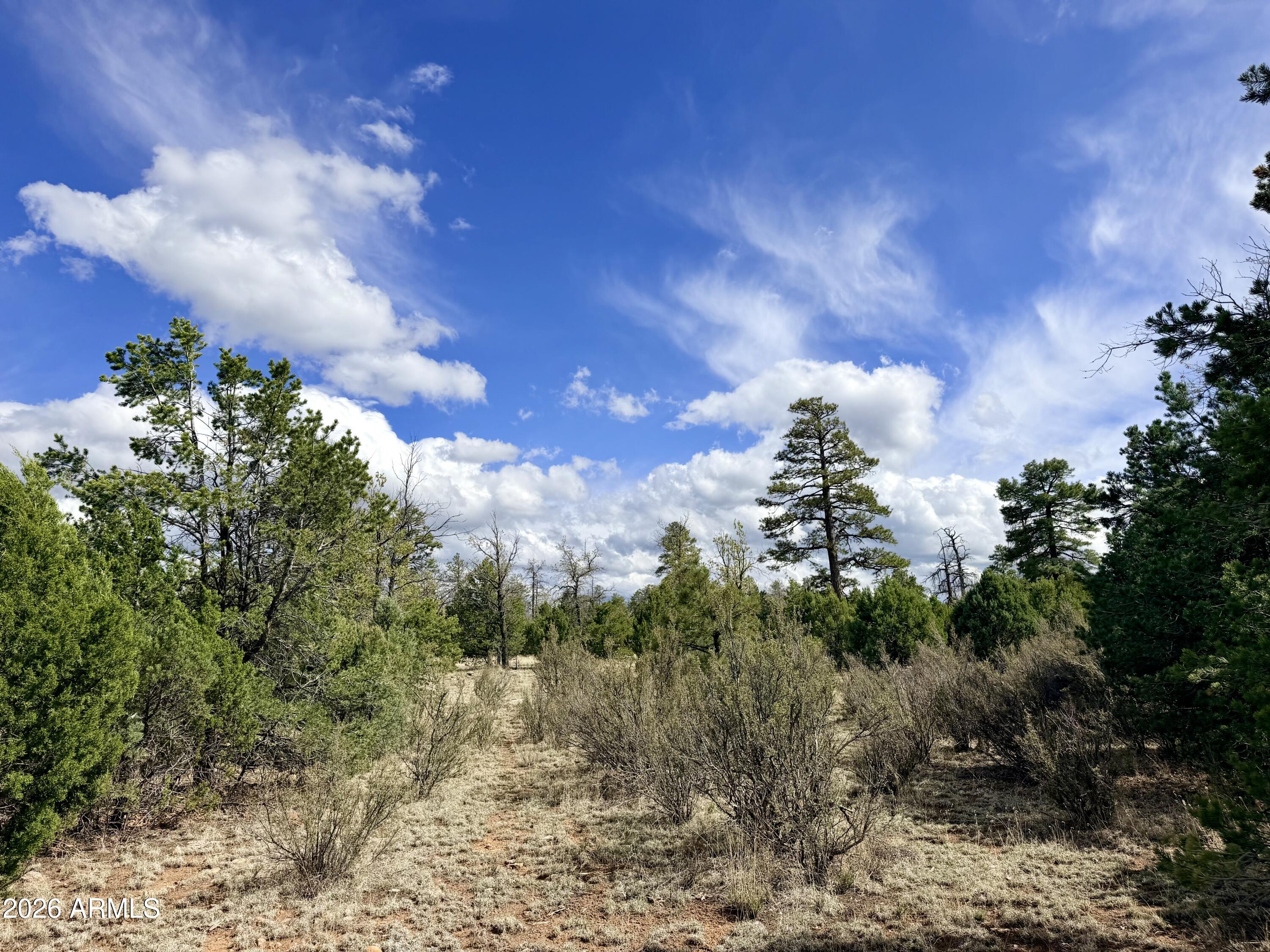 7112 HORIZON Circle 101