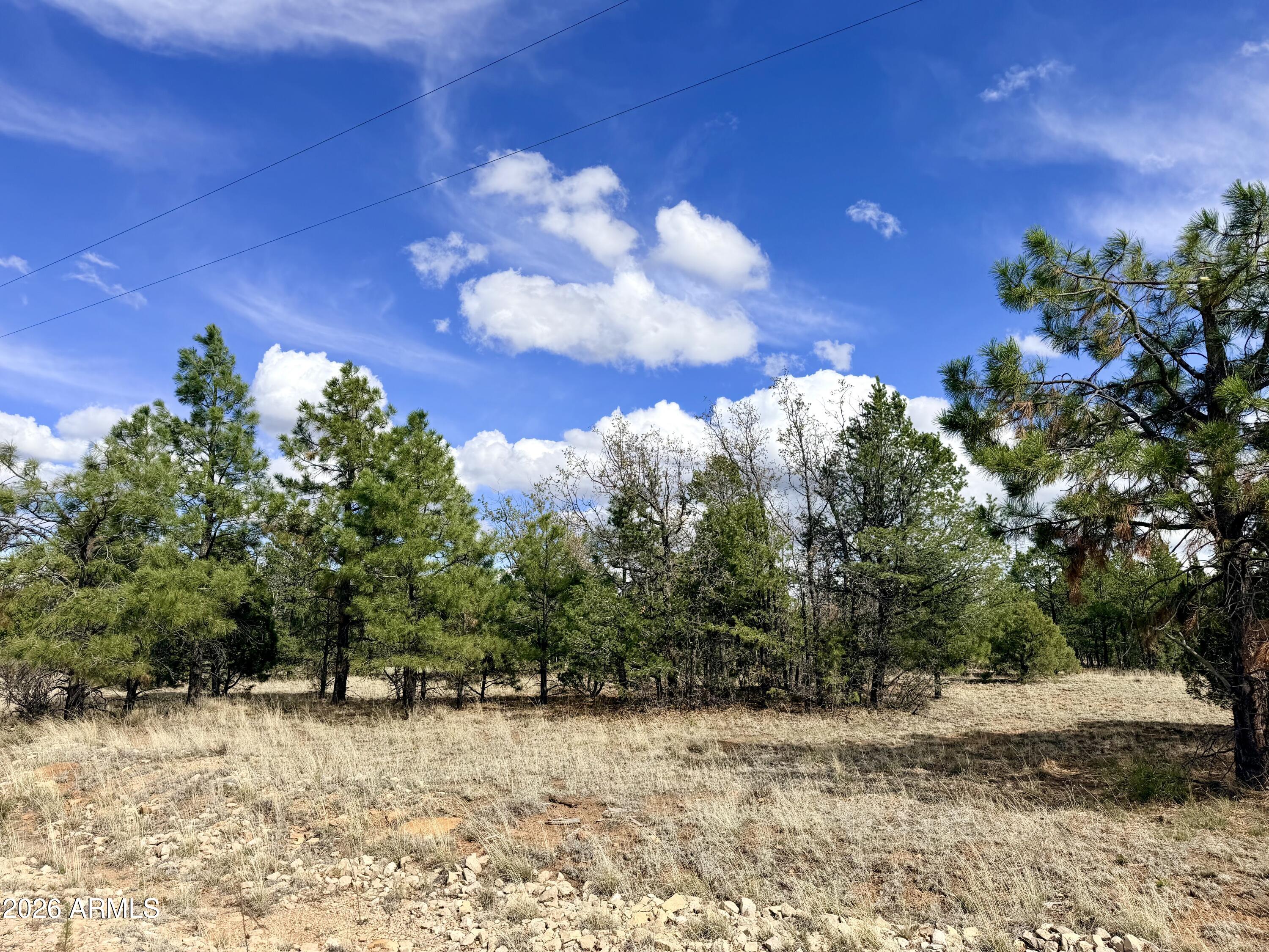 7112 HORIZON Circle 101