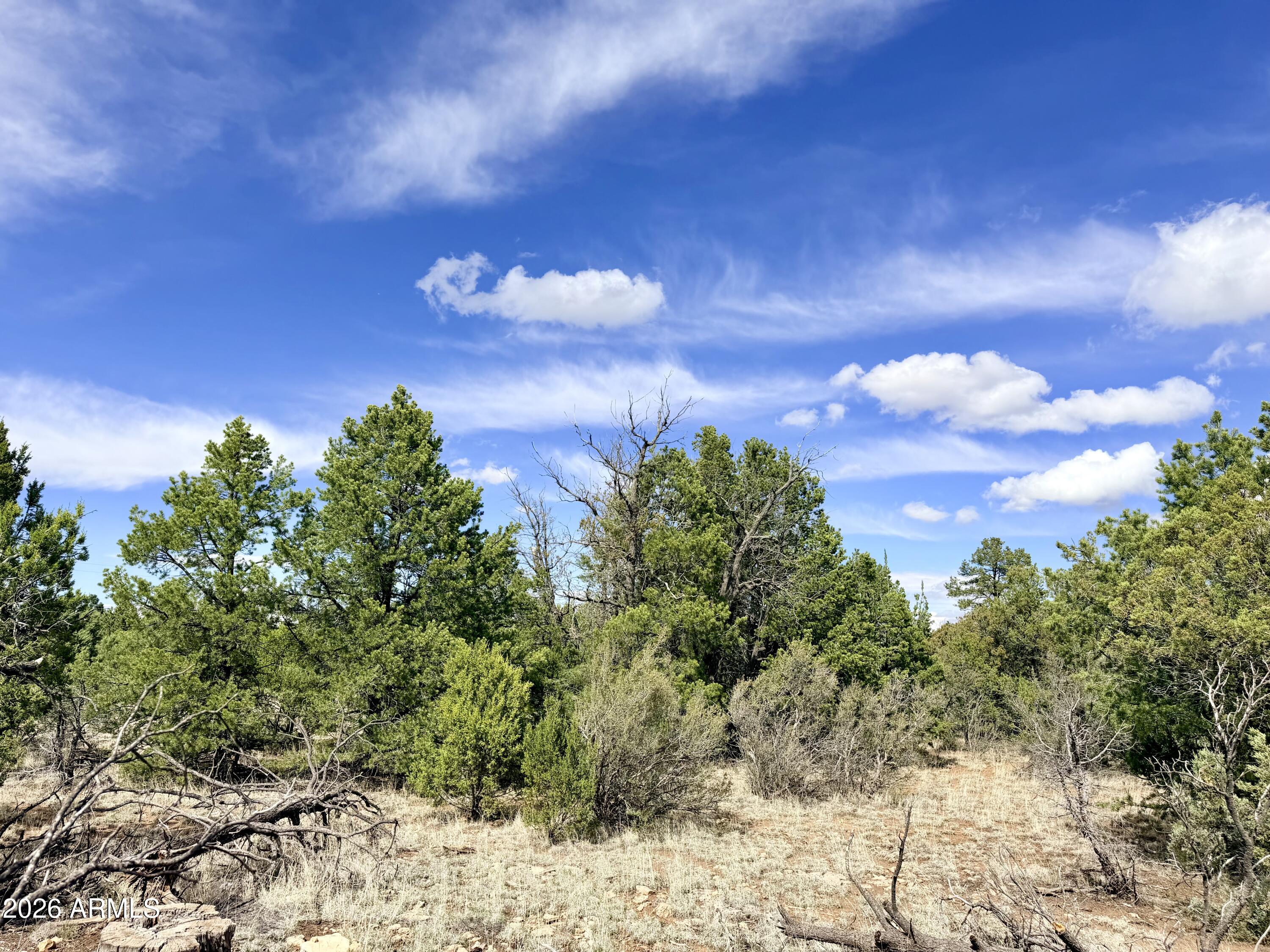 7112 HORIZON Circle 101