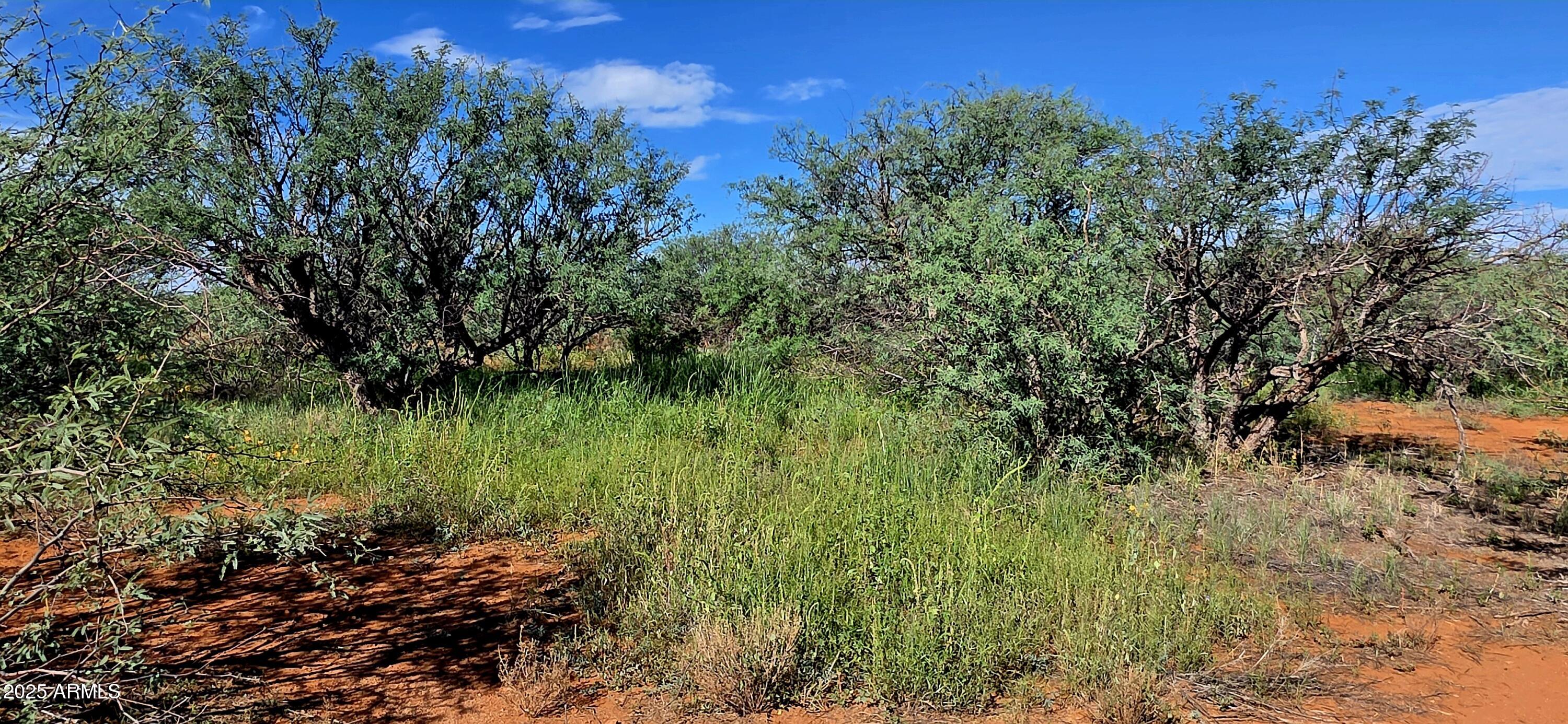 TBD 40 AC Ronald Reagan Parkway -