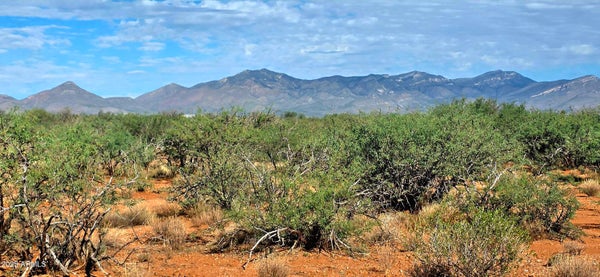 E RONALD REAGAN PKWY, HUACHUCA CITY, AZ 85616 - Image f23d4752f8e65d37ba72e7aa68e53e95/848307580