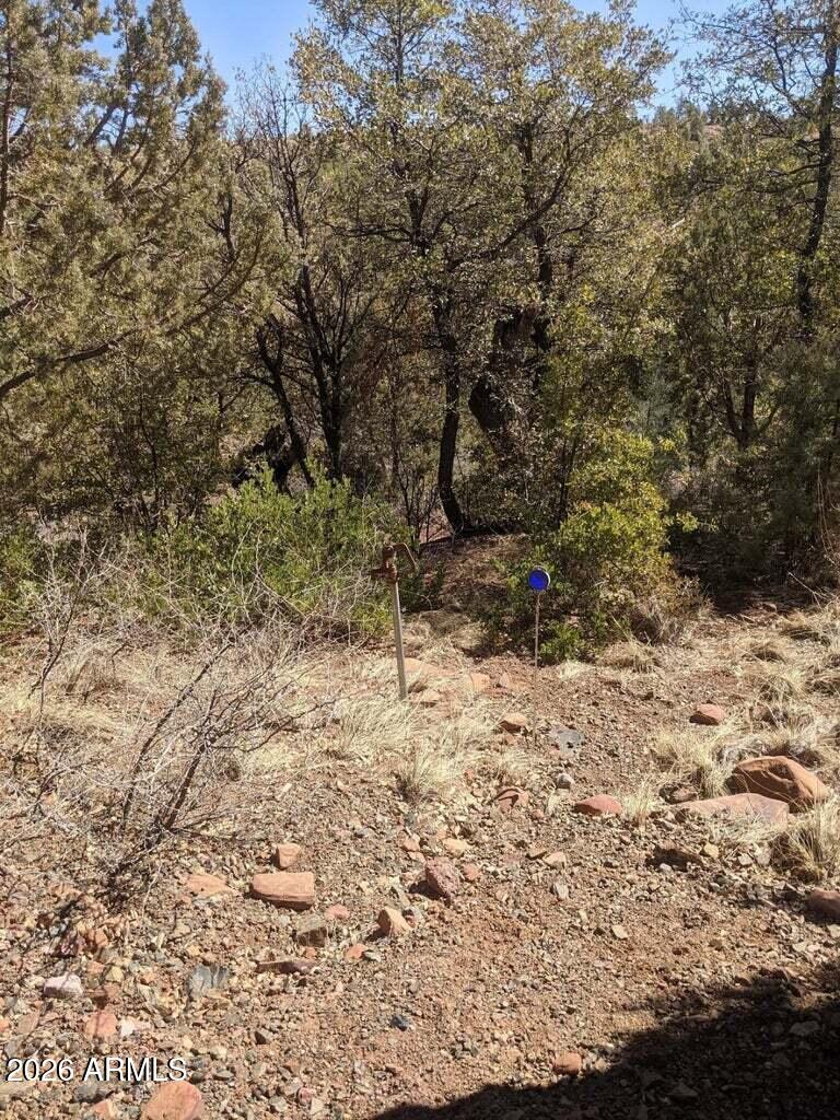 BONITA CREEK RANCH 2 - Land