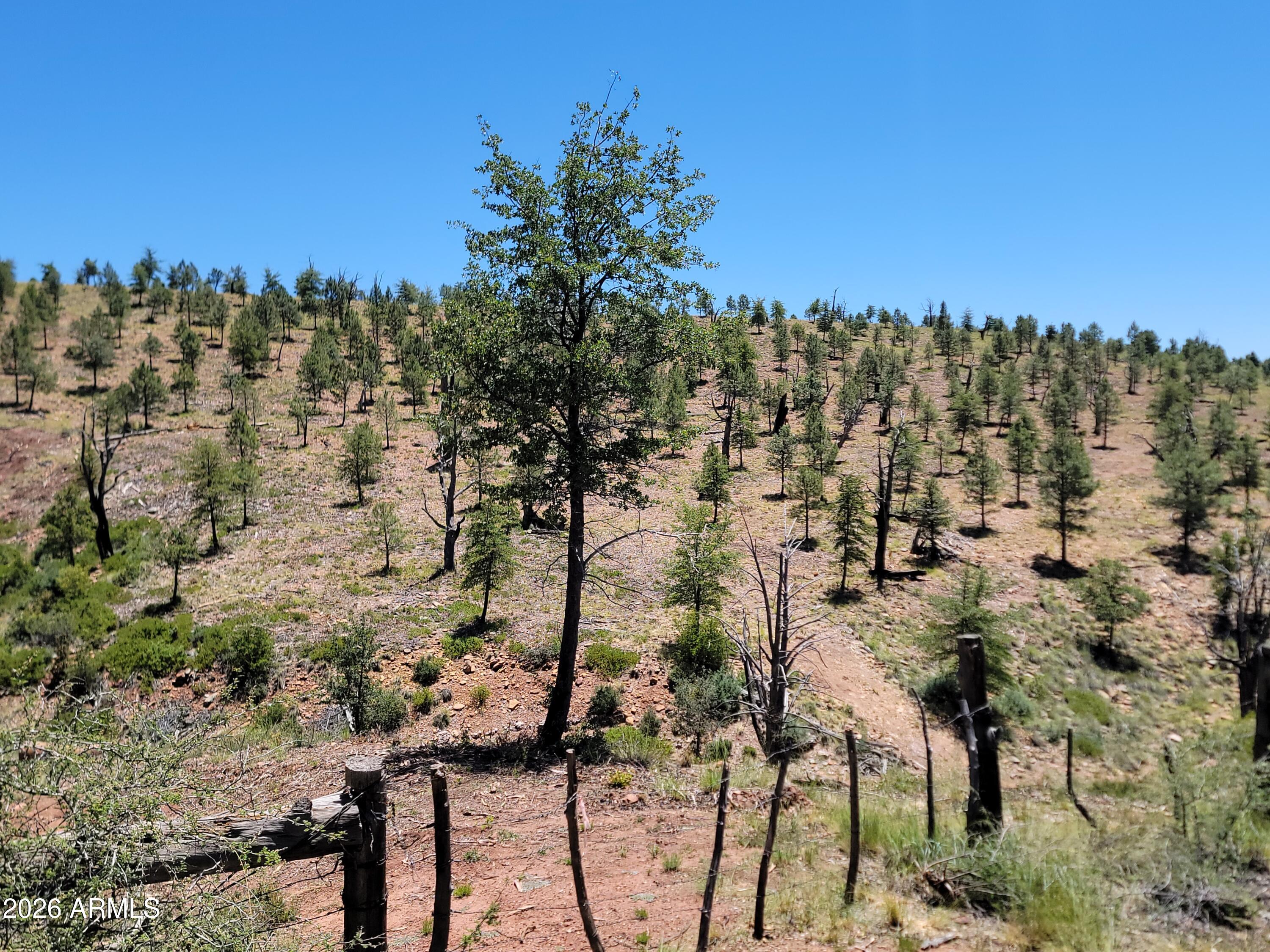 BONITA CREEK RANCH 2 - Land