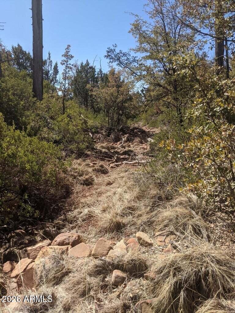 BONITA CREEK RANCH 2 - Land