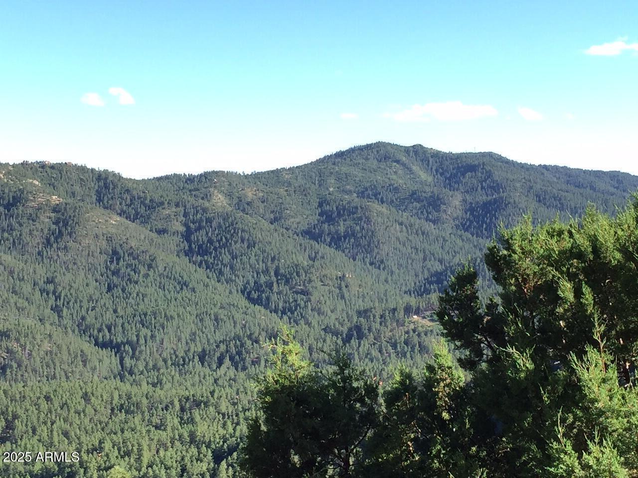 0 E Bald Mountain Road -
