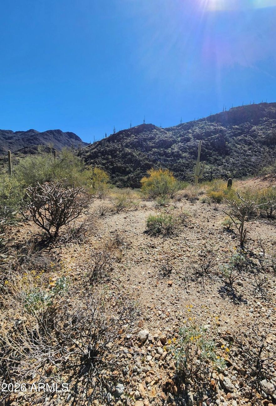 Over 8 acres in gorgeous Tucson, this saguaro-studded homesite offers the perfect canvas to build your custom dream home. Located within the exclusive gated community of Trails End Estates, this property is surrounded by breathtaking mountain views in every direction. Enjoy privacy, natural beauty, and the serenity of the Sonoran Desert while still being within reach of modern conveniences. A rare opportunity to create a one-of-a-kind estate in one of Tucson's most sought-after settings.