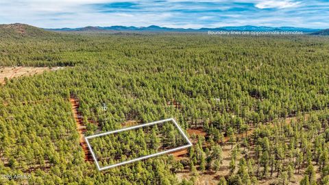 1 Acre Birdsong Way - Lakeside AZ 85929