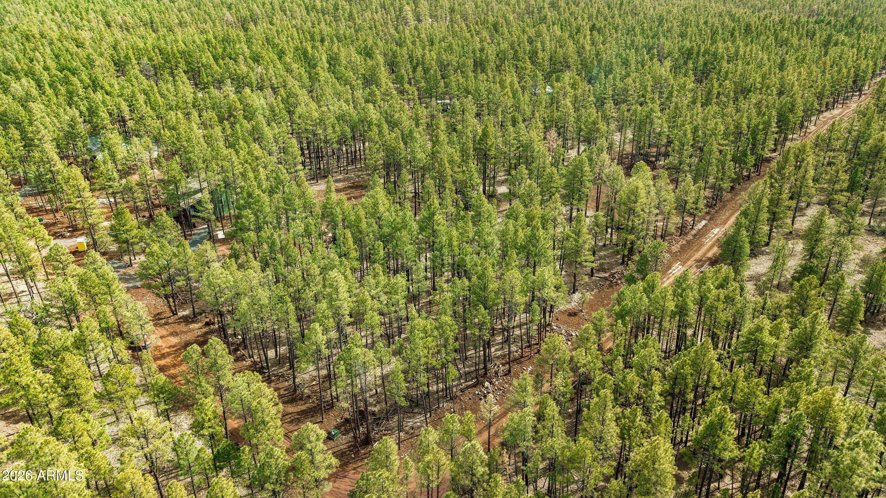 1 Acre Birdsong Way -