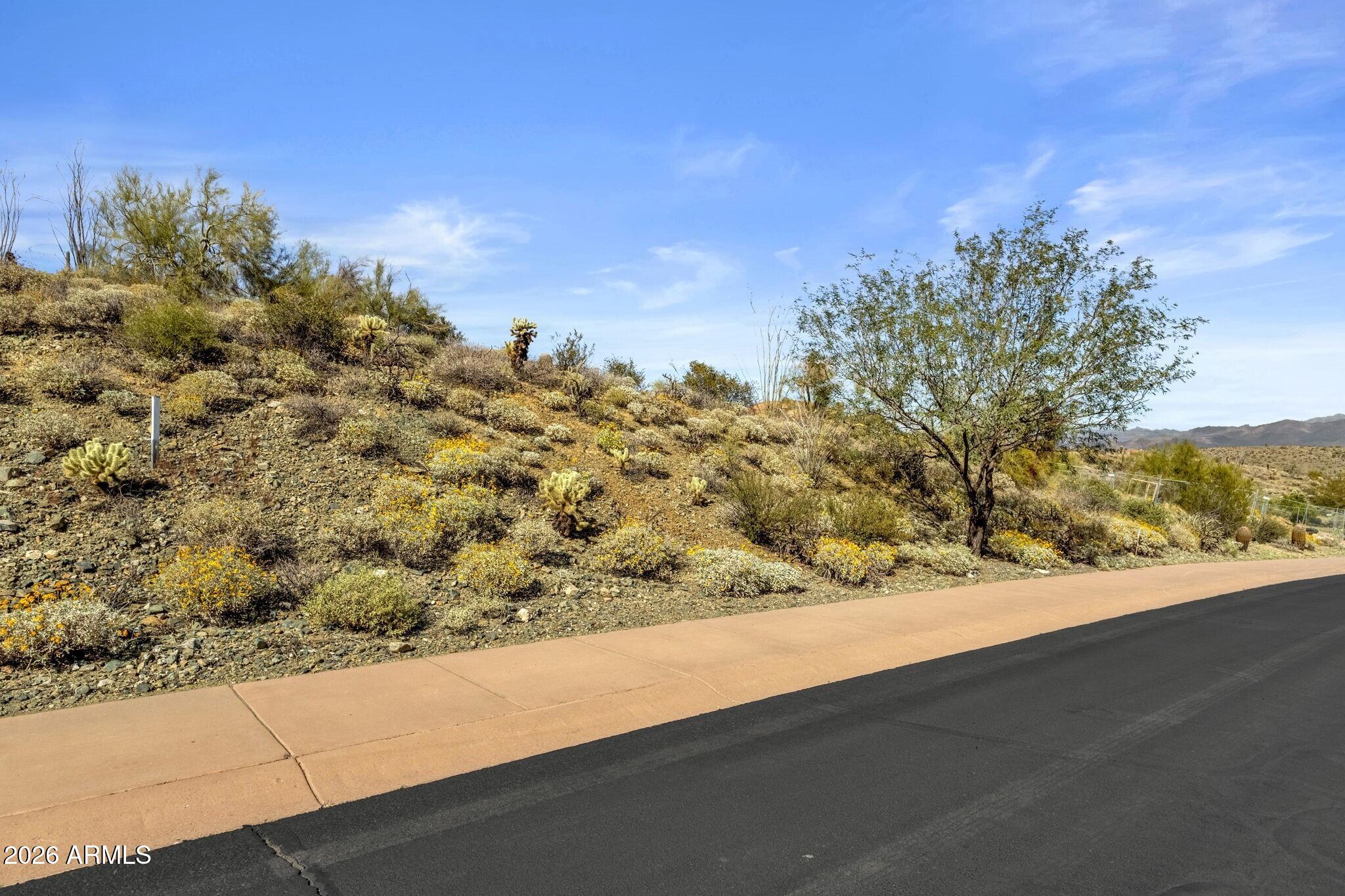 16722 N MOUNTAIN Parkway 71