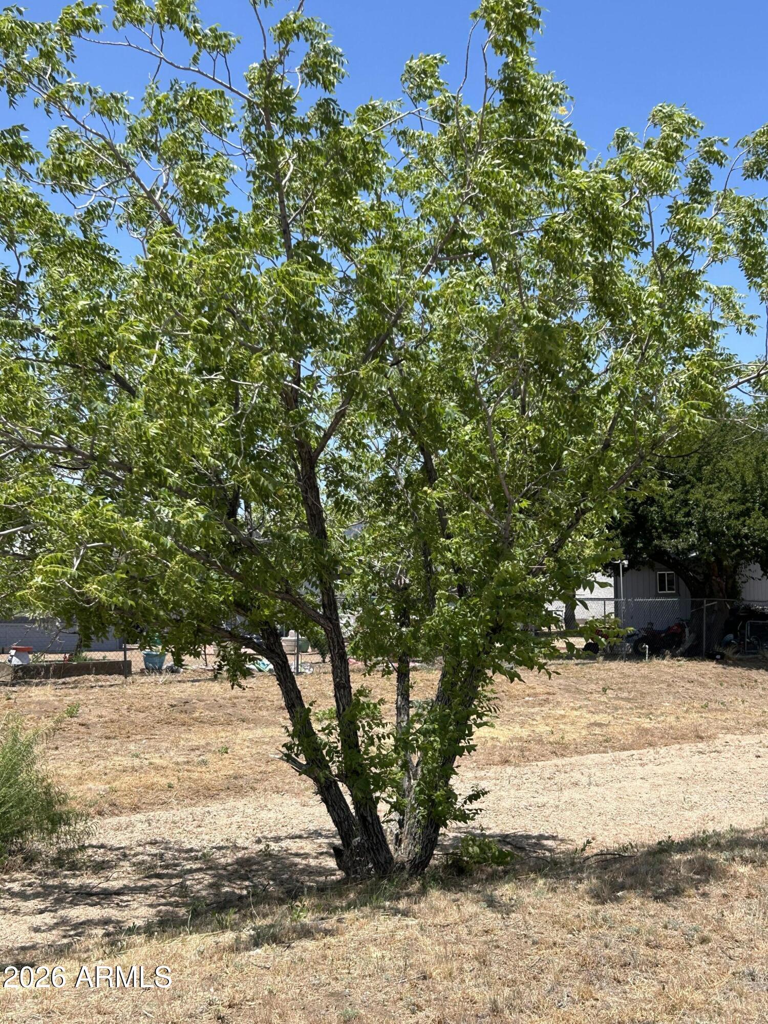 18628 S Joseph Hodge Road 80