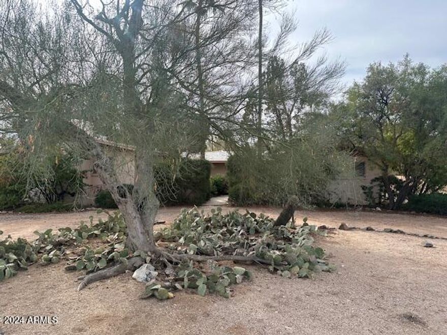 Presenting a rare and exceptional opportunity to own a prime, flat, rectangular lot on the quiet and secluded, tree-lined Cheney Drive. This expansive 1.125-acre parcel offers breathtaking mountain views and endless potential for your dream project. The existing 3-bedroom, 2-bathroom home is a charming time capsule, perfect for those looking to restore or create a new masterpiece. The true value of this property lies in the land—an ideal canvas to build your vision. Whether you're looking to design a luxurious custom home or capitalize on the potential for future development, the possibilities are limitless.
Situated in a peaceful, sought-after neighborhood, this property offers a serene retreat while still being conveniently close to everything wonderful about Paradise Valley.