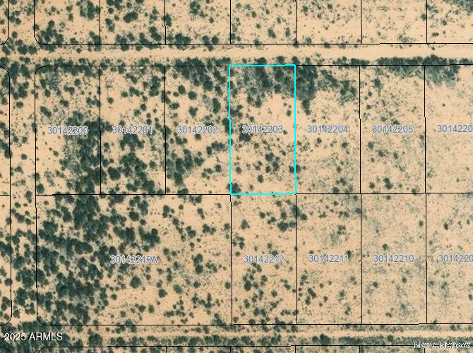 Apple Valley Ranchettes - Land