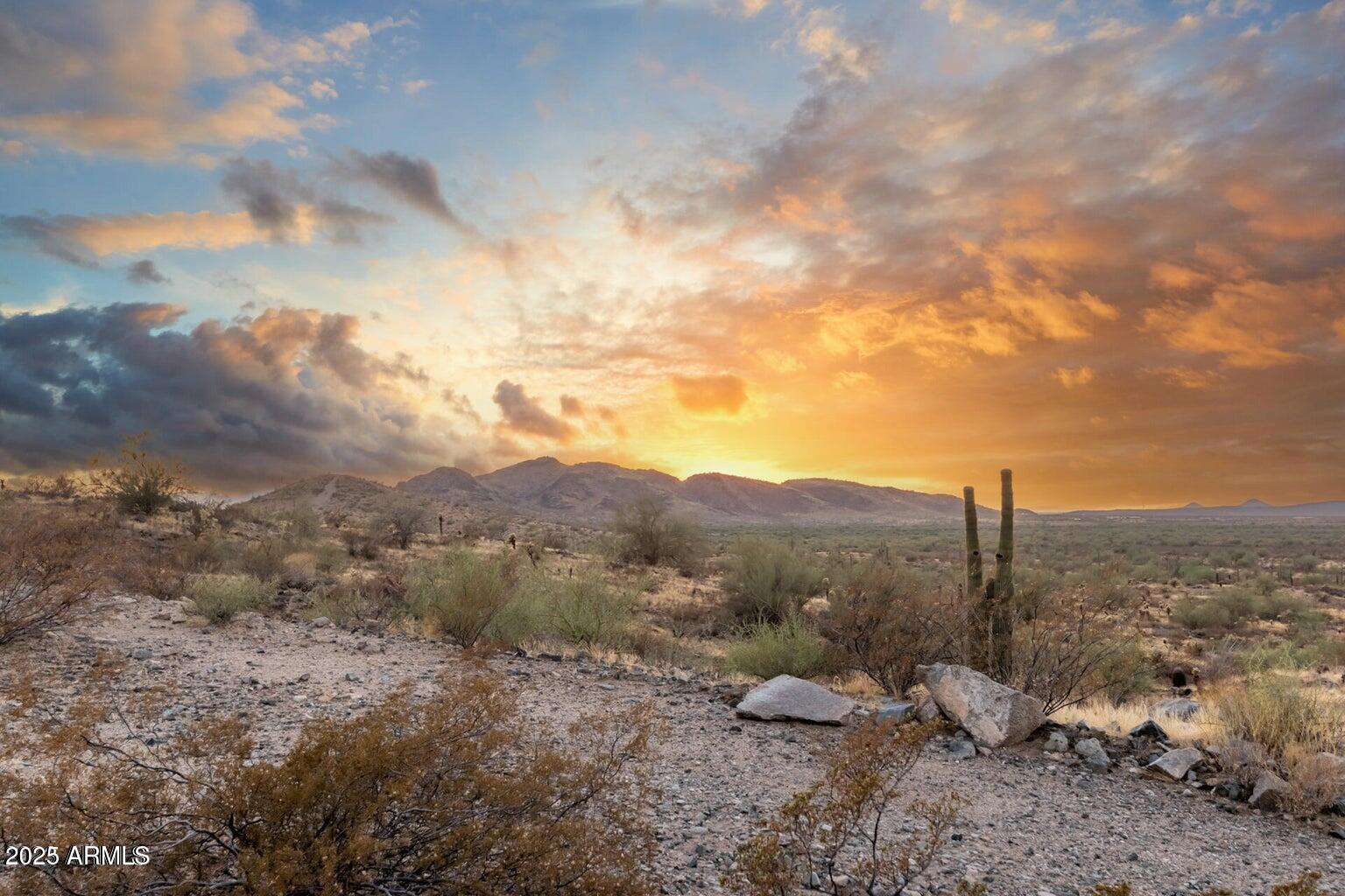 28894 N CHALFEN Boulevard 21