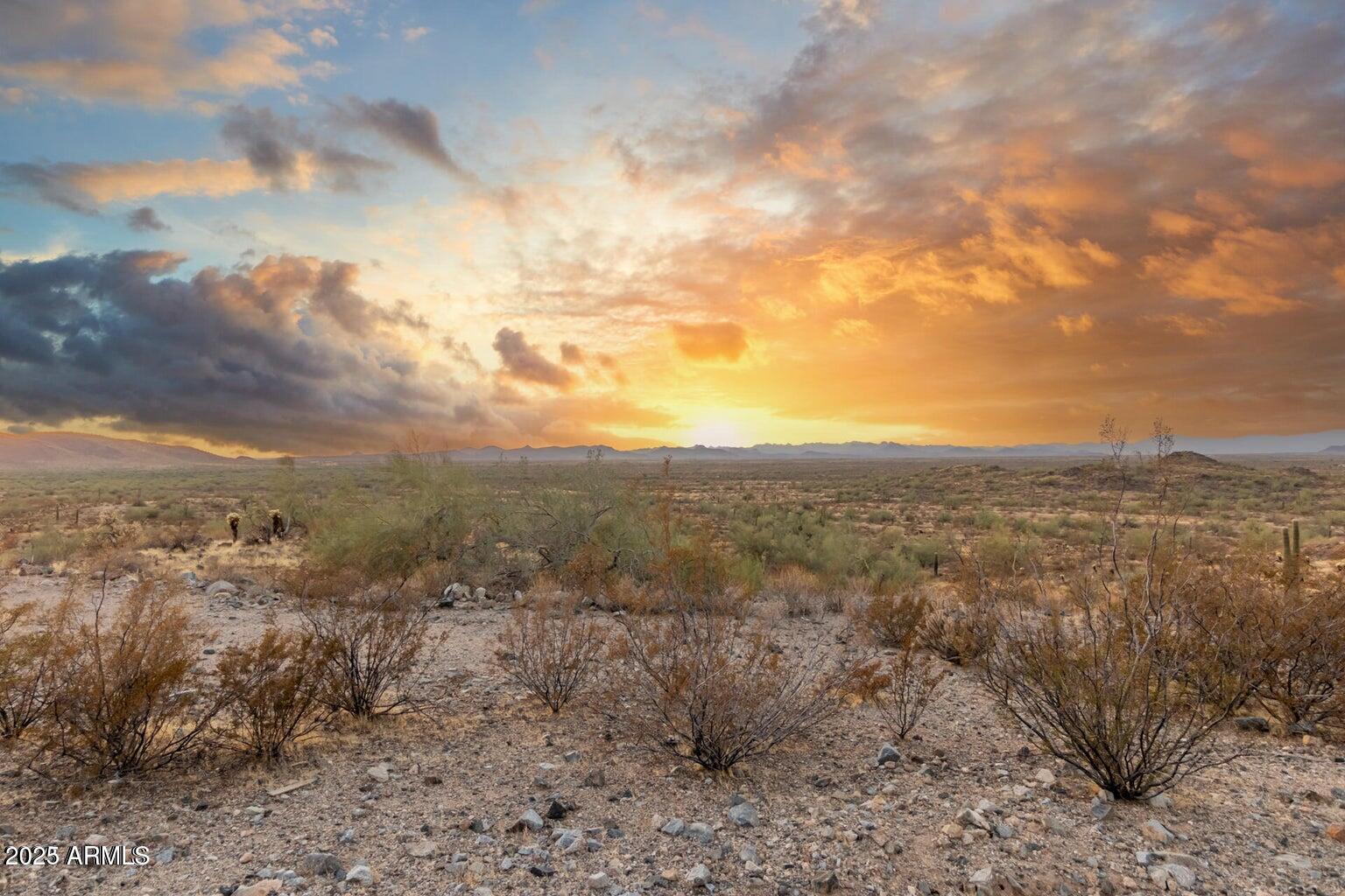 28894 N CHALFEN Boulevard 21