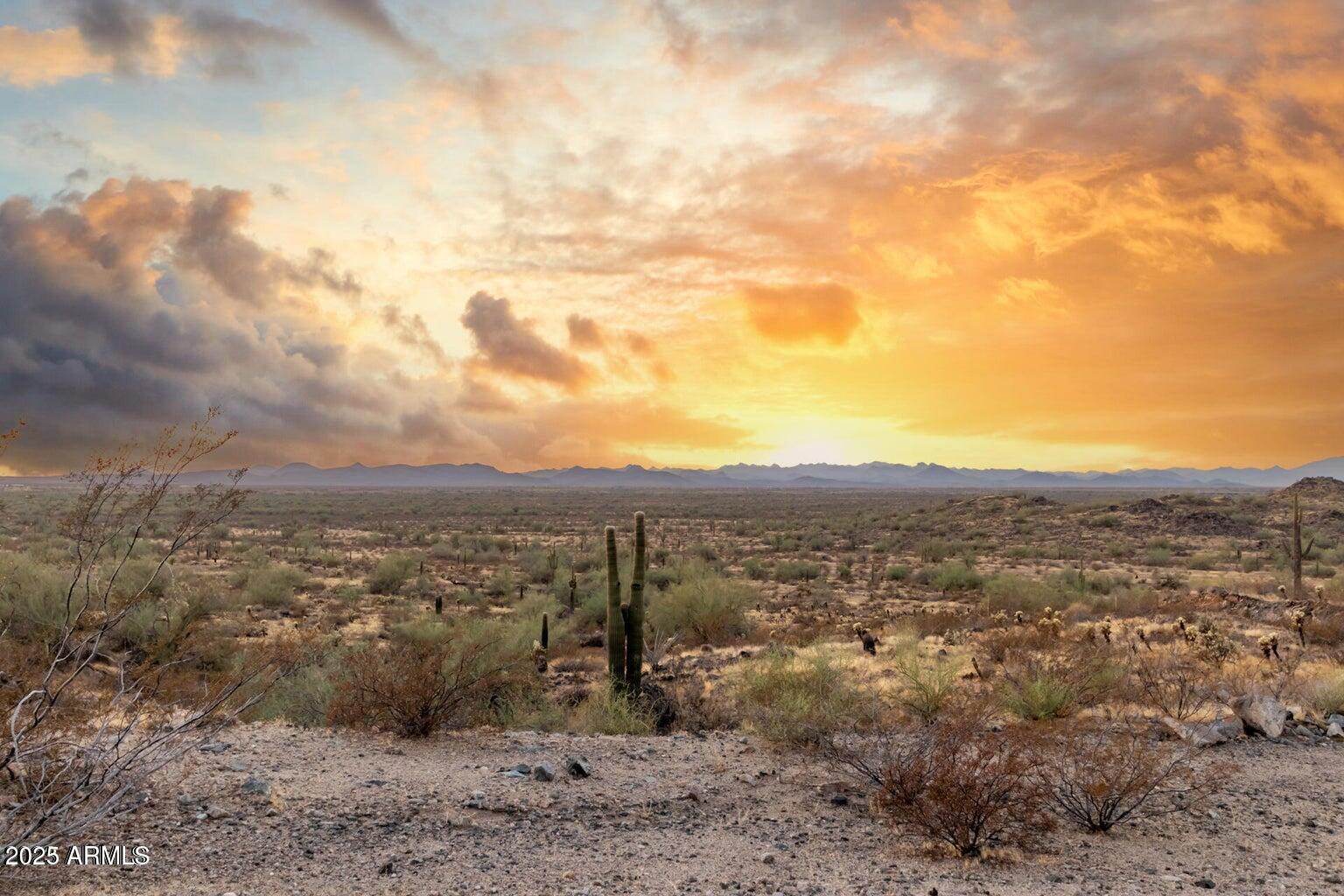 28894 N CHALFEN Boulevard 21