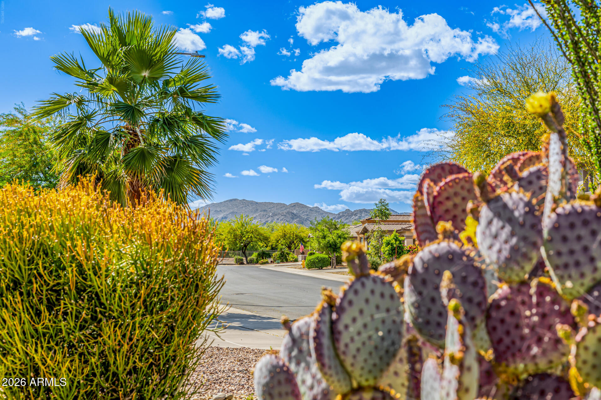 18505 W PORT AU PRINCE Lane