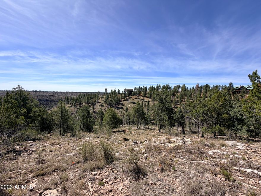 AMAZING VIEW ...Looking to build your future home and have a canyon view, than this one is for you.  It offers 3.30 acres . Lot has a nice level spot you could build on and then slopes down to offer the view.  There is water and electricity to the lot line, septic needs installed. Don't miss the opportunity to watch the Big horn sheep and elk come by, and the beautiful mature trees.