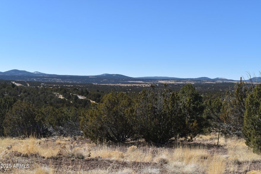 Breathtaking views from this 5.06 acres (approx.220413 sf) off Stanford Road. Nicely treed with easy access. Level areas for your home. Private yet a short trip to town. Come build your dream home and enjoy the view.