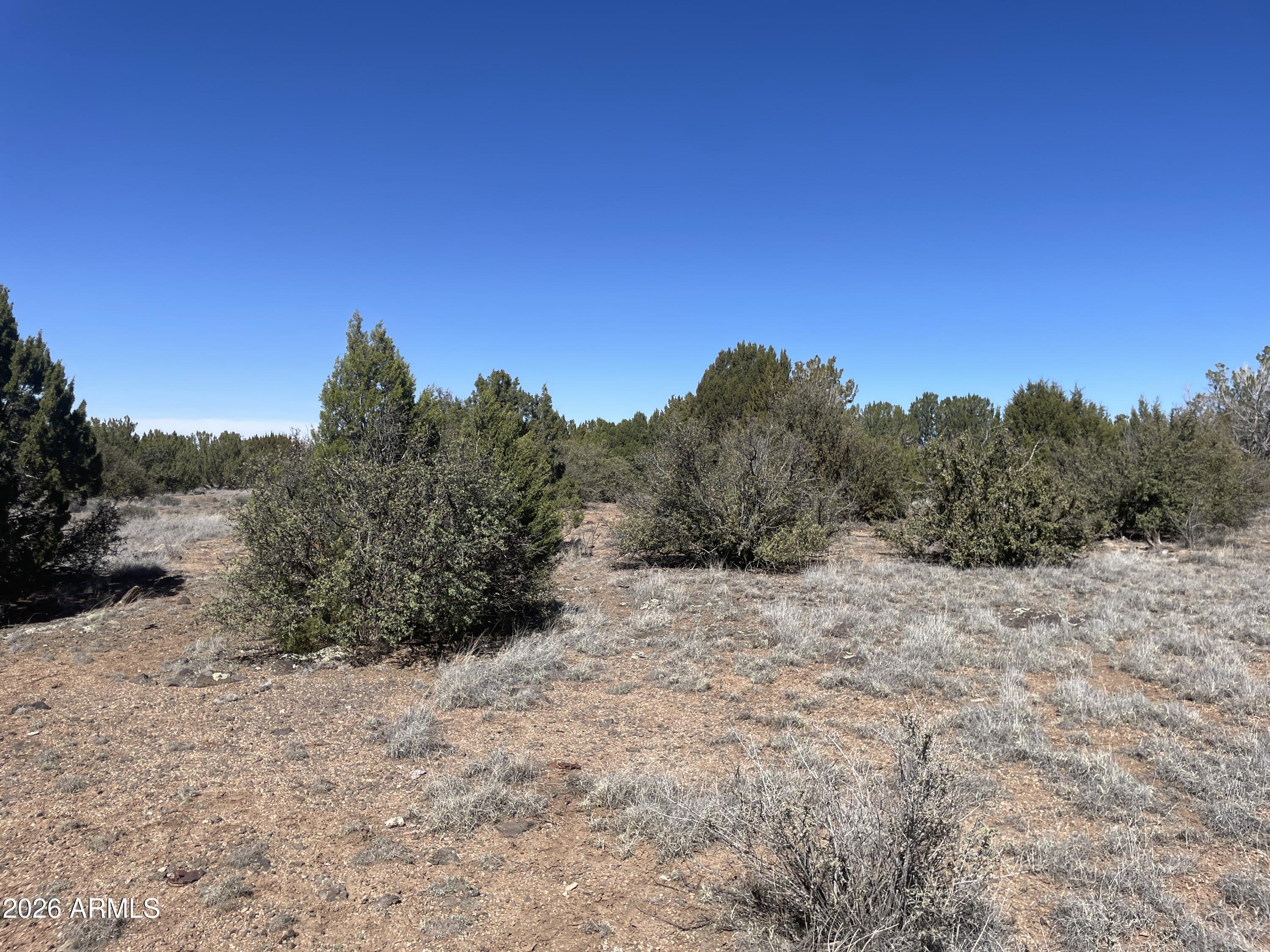 WHITE MOUNTAIN LAKES UNIT 1 - Land
