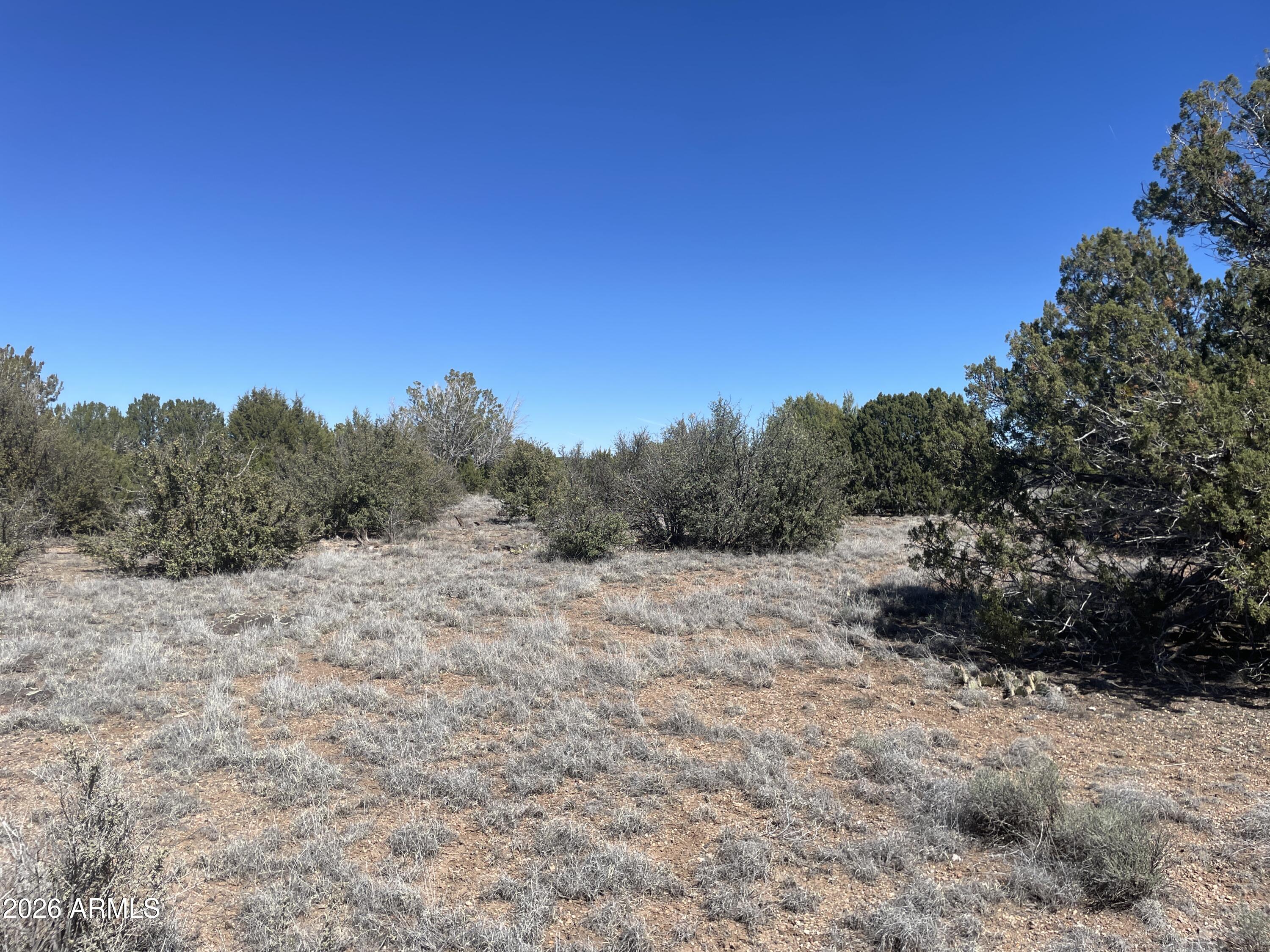 WHITE MOUNTAIN LAKES UNIT 1 - Land