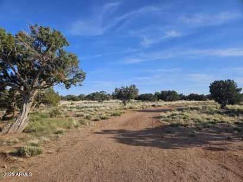 110 N COUNTY ROAD N5578 -- Concho AZ 85924