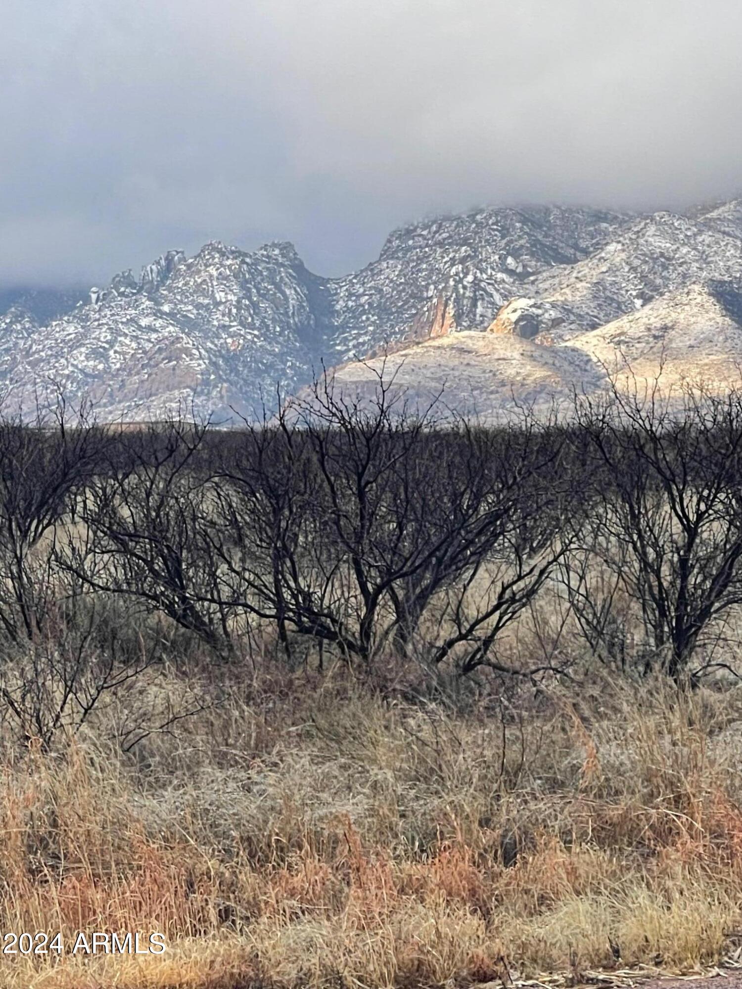 TBD109C&D W Doe Ranch Road 55