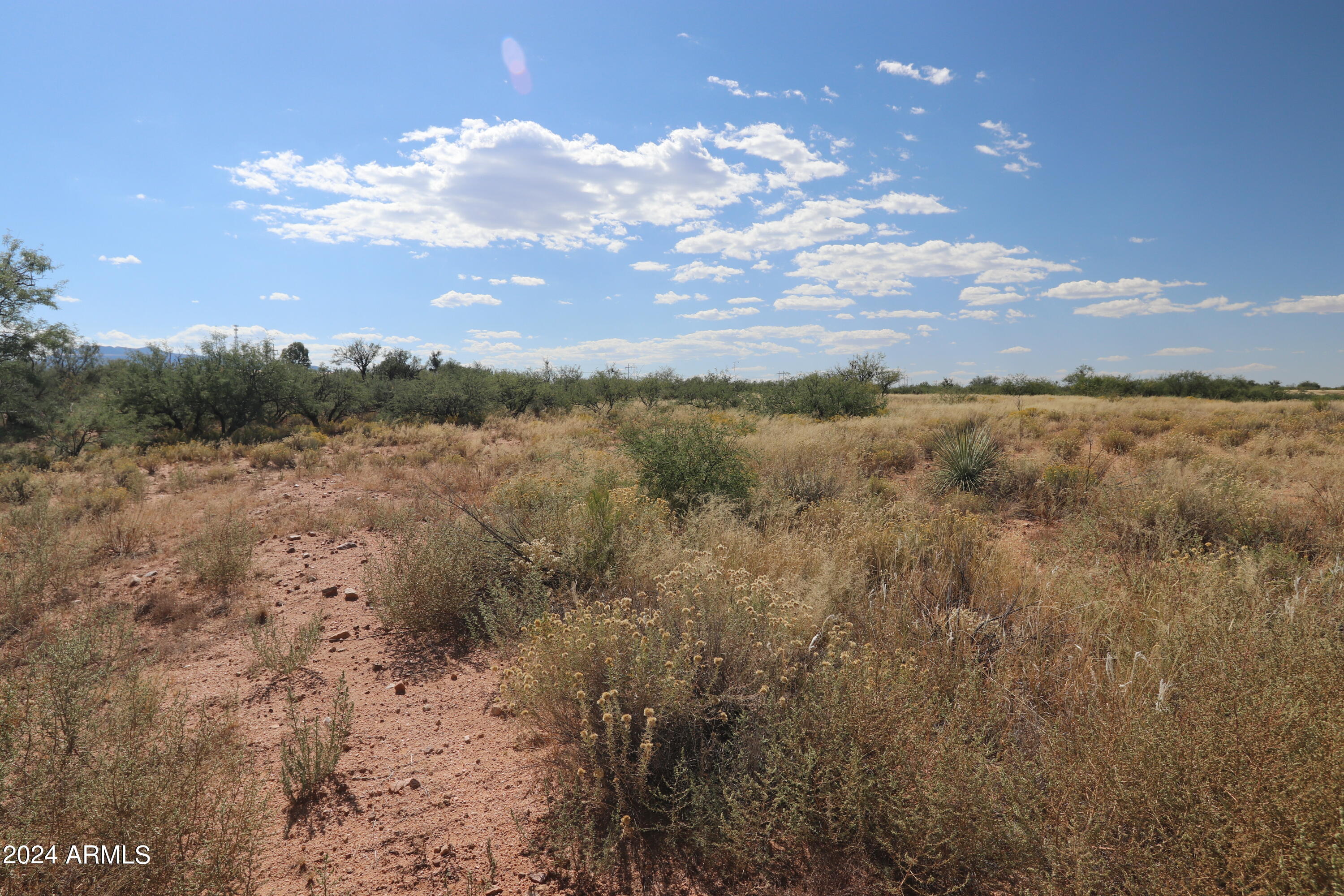 TBD-067D W Eeyore Lane 13