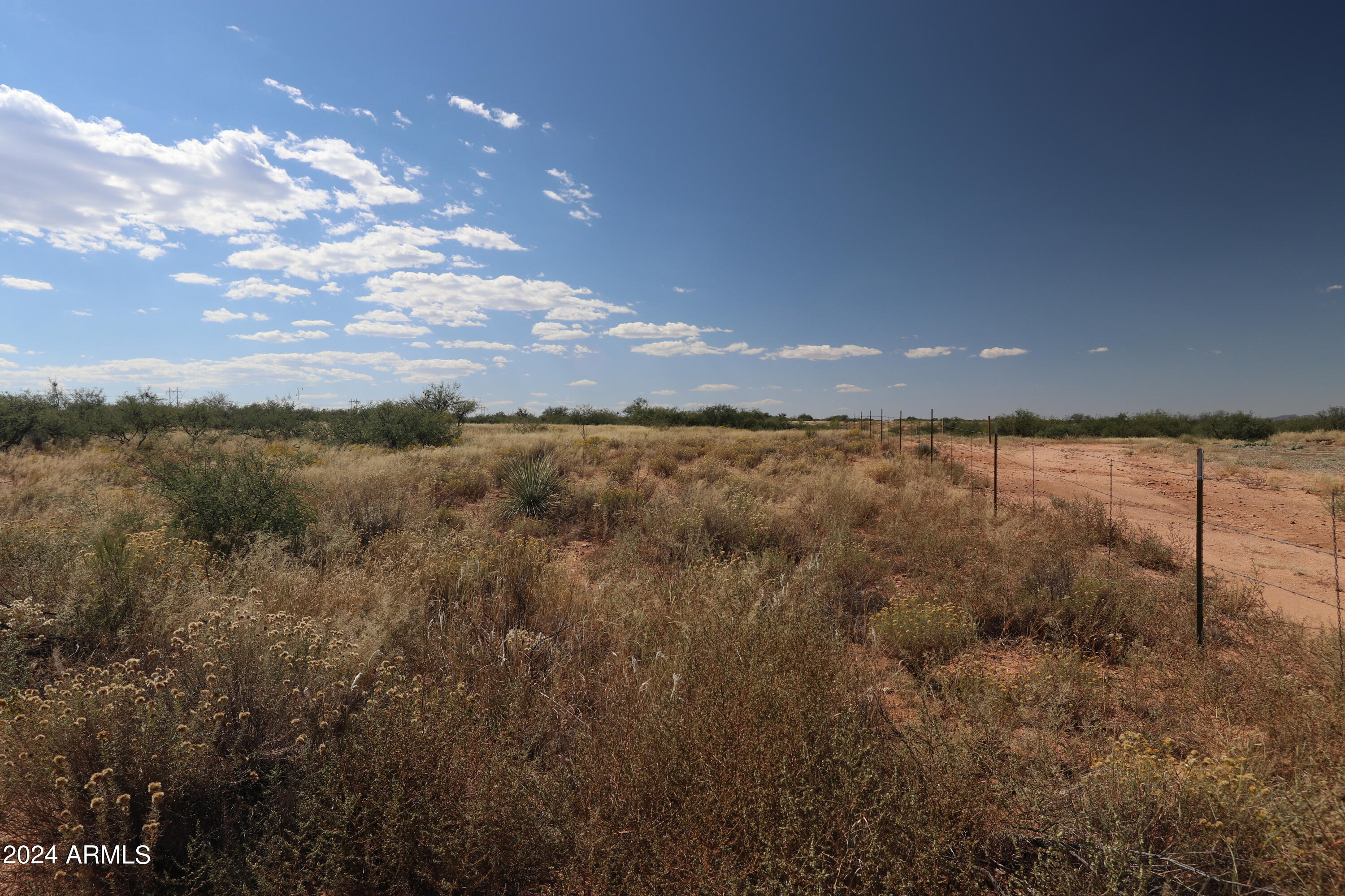 TBD-067D W Eeyore Lane 13