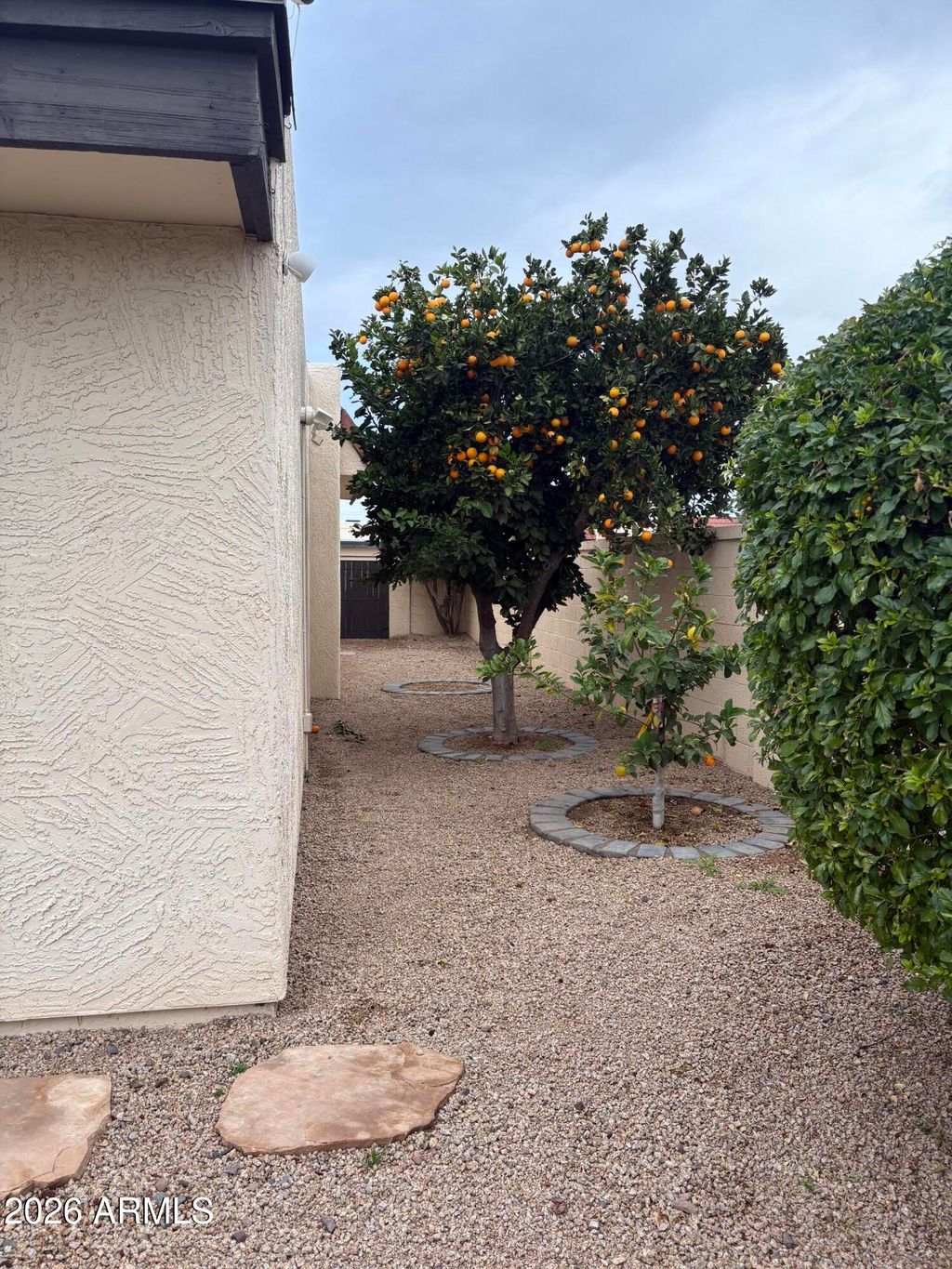 Photo of 7006 E Jensen Street #164, Mesa, AZ 85207 (MLS # 6996616)